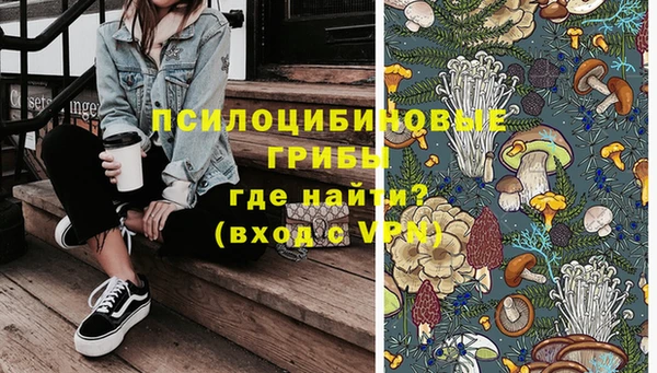 стафф Абаза