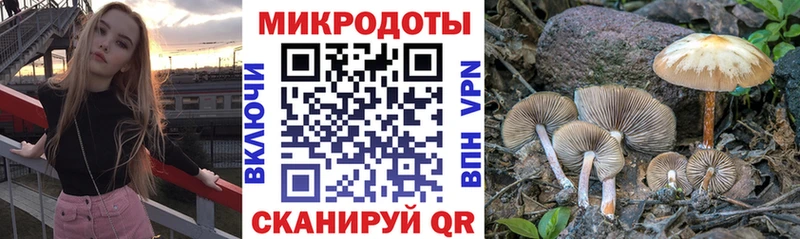 Галлюциногенные грибы прущие грибы  магазин продажи   Истра 